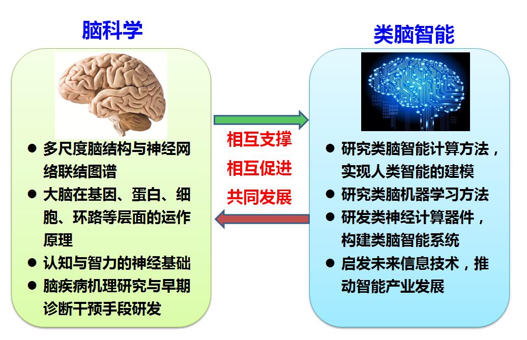 “脑功能联结图谱与类脑智能研究”先导专项2017年度工作会议召开